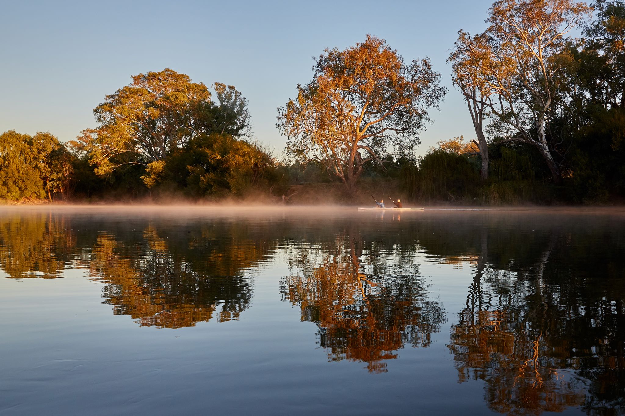 Charter flights to Albury