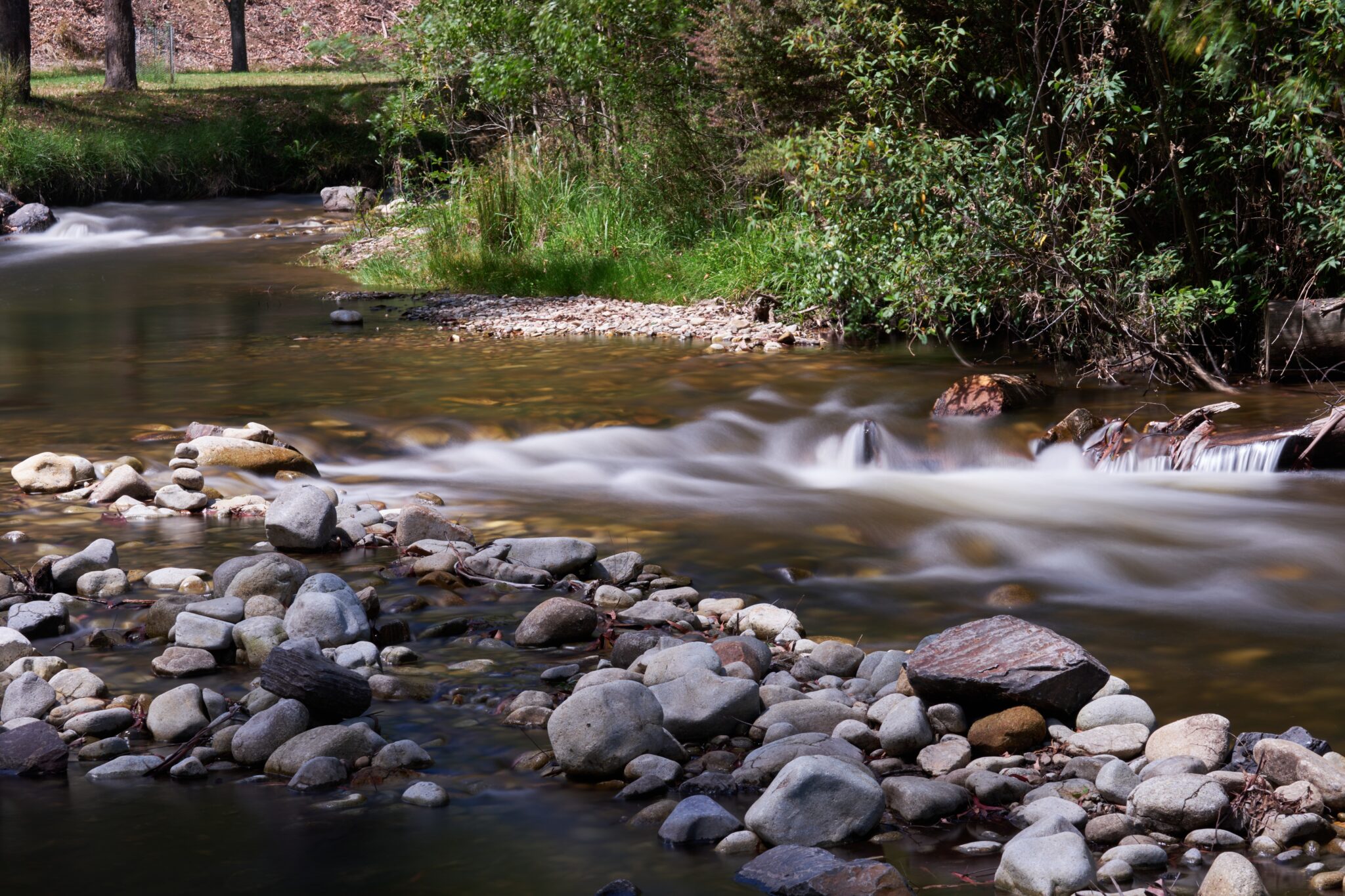 Charter flights to Latrobe valley