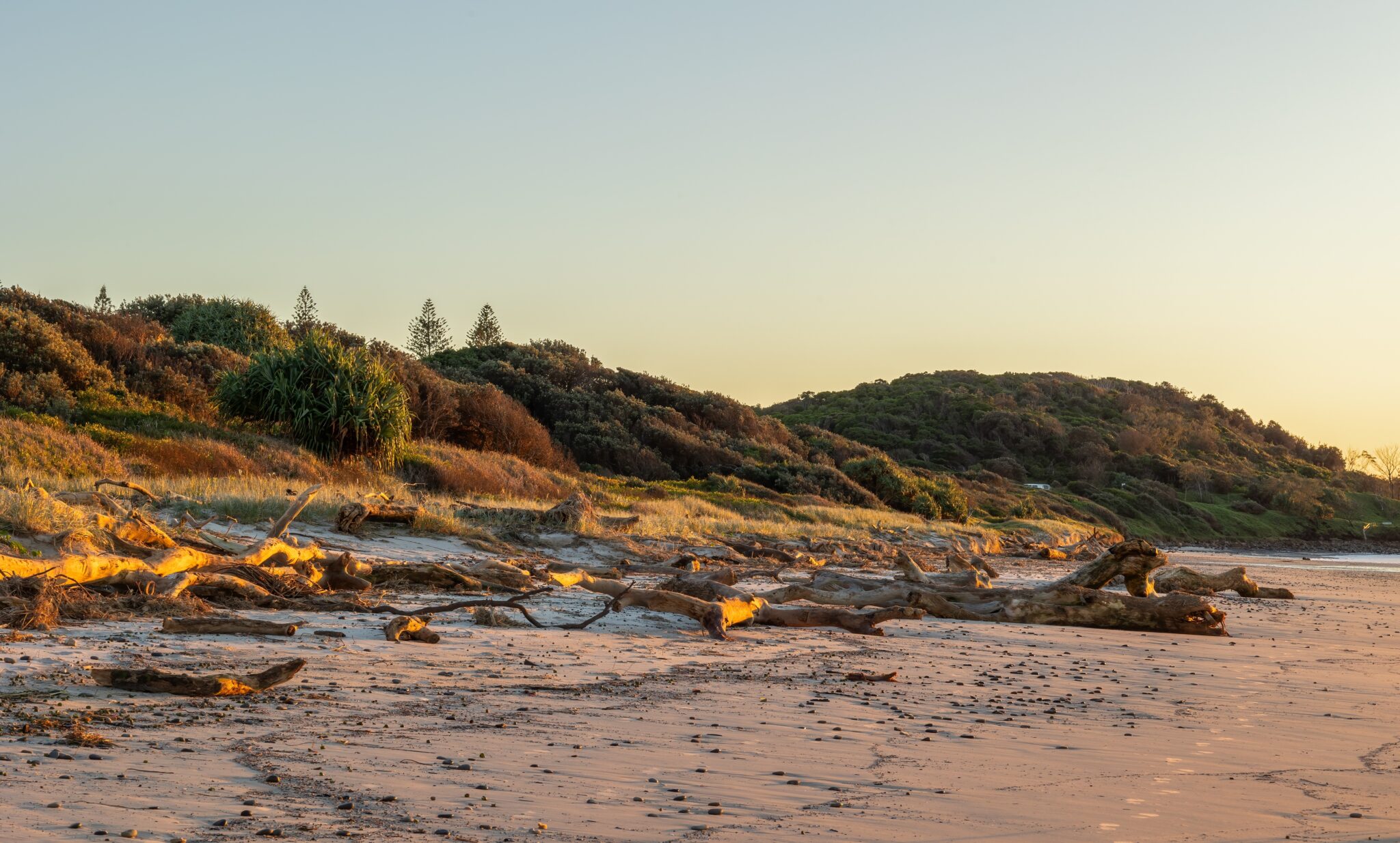 Charter flights to Ballina