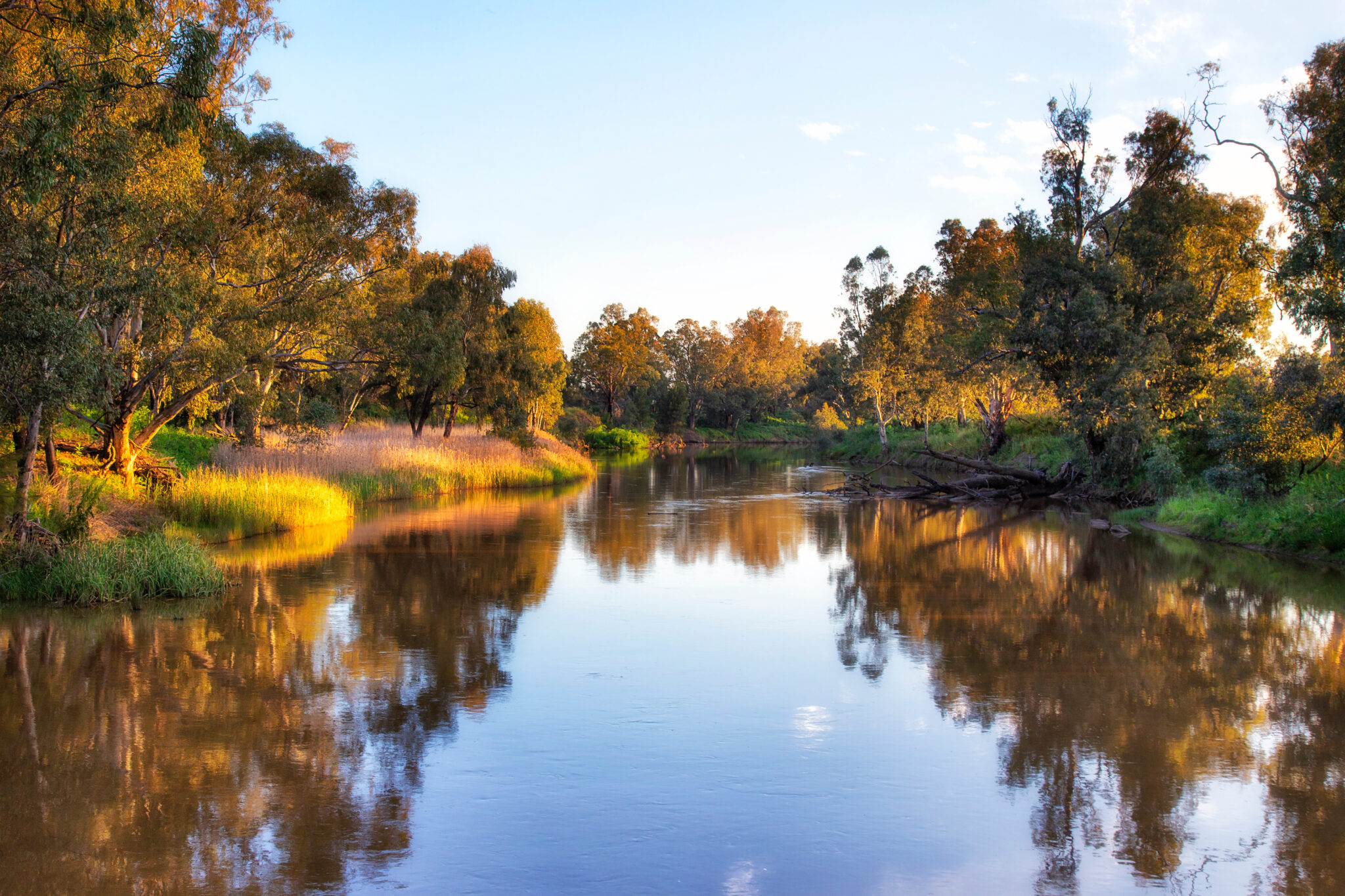 Charter flights to Dubbo