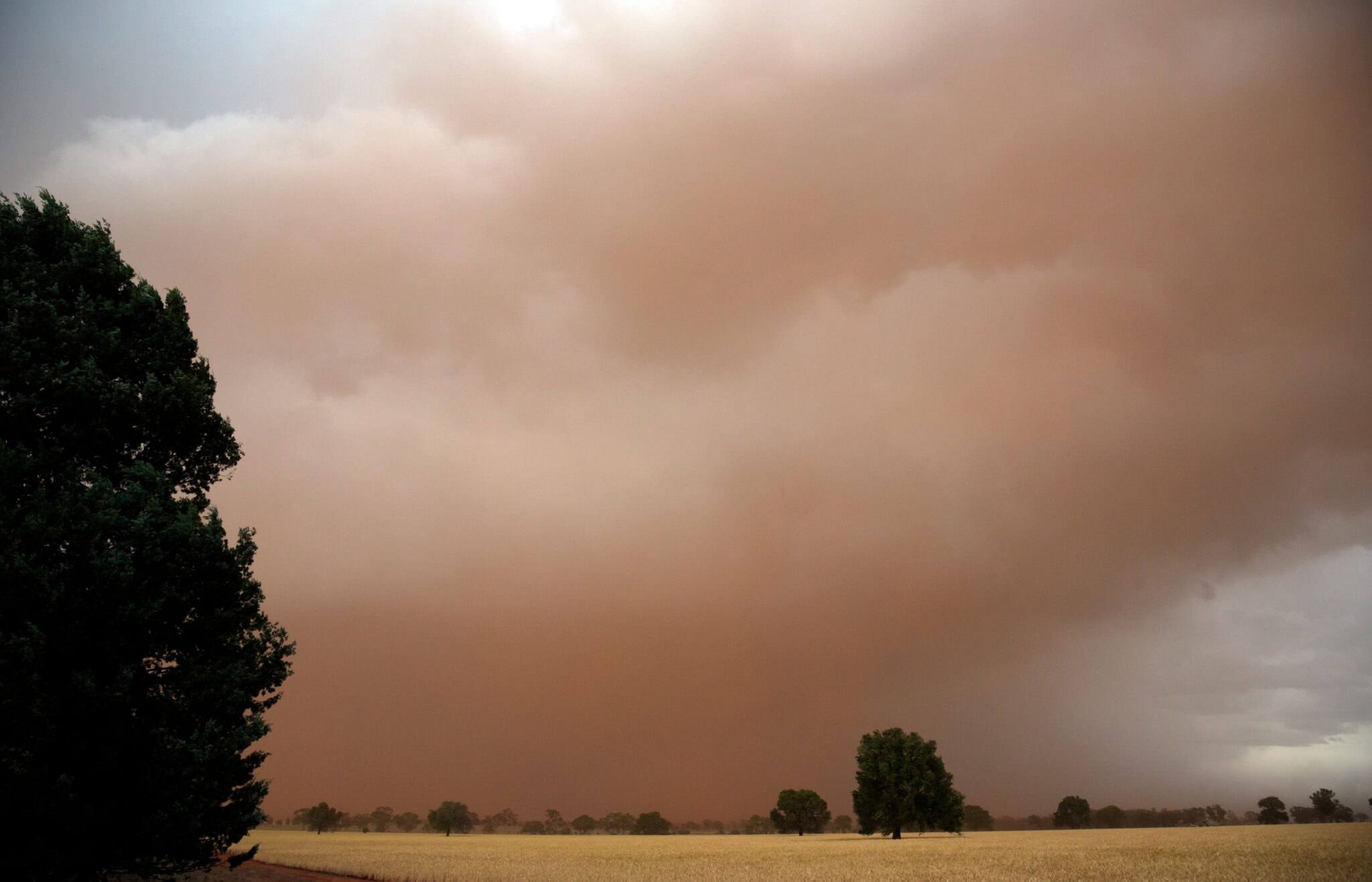 Charter flights Condobolin